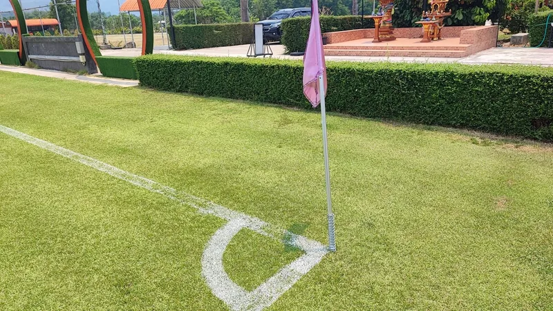 A corner flag and a freshly marked line on dense, close-cut grass